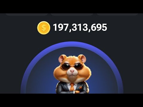 Hamster Kombat Daily Combo Card Today 5M Coins 27 June 2024