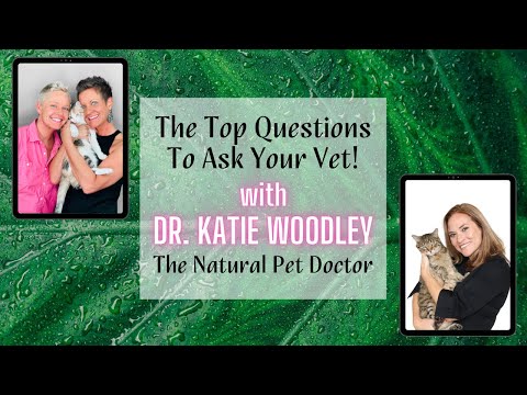 How To Find The Right Veterinarian | Two Crazy Cat Ladies & Dr. Katie Woodley