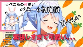 兎田ぺこら初配信　初々しいくて可愛い