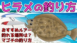 [How to catch flounder with a lure] If you can catch magochi, the fishing method may be different!?