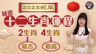 七仙羽2025蛇年生肖運程｜生肖排行榜公開 一生肖犯太歲仍有運行｜改變磁場催運有法 健康財富姻緣精選｜健康嗎@HealthCodeHK【新年健康運】#七仙羽