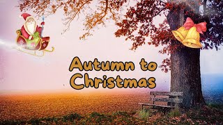 Autumn to Christmas - Heartwarming Holiday Music for Any Space (Free to Use!)