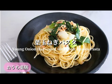 【おうち薬膳】春を感じる葉玉ねぎパスタ♪