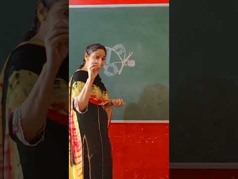 black board art#beautiful flowers and butterfly #creativity #ਪੰਜਾਬੀ_ਭਾਸਾ਼ #activityschool #teaching