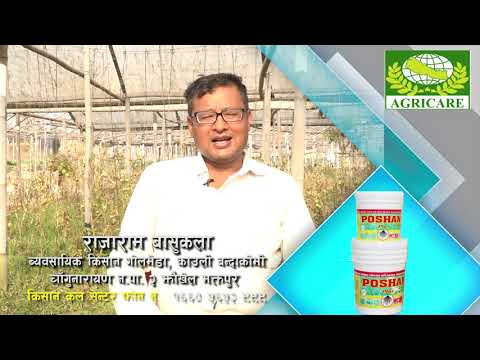 Best agriculture product for farmers, Agricultural products Poshan Plus Danadar Agricare NepalPvtLtd