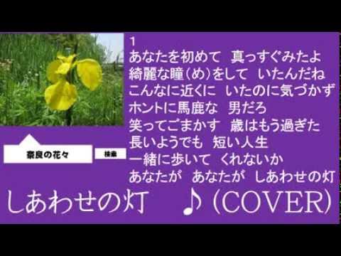 しあわせの灯　２　つげ ゆうじ　♪（COVER