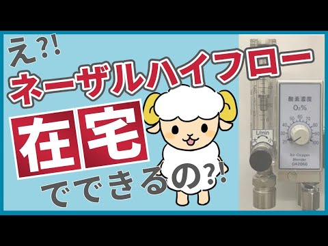 【2022年4月保険適用！】在宅ハイフローを解説