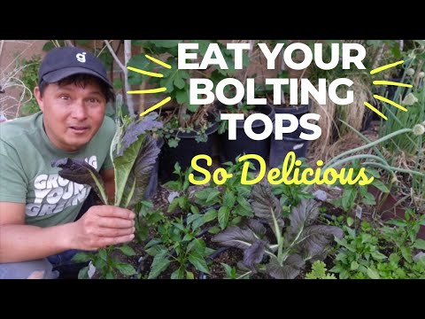 The Secret to Healthy Eating: Eat Your Bolting Garden Vegetable Tops