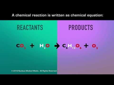 Chemical Reactions