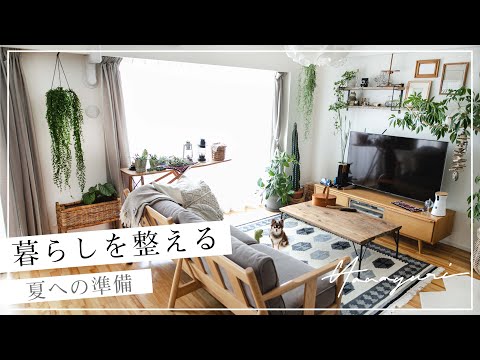 暮らしを整える／夏への準備／観葉植物根詰まりの植え替え／エアコン掃除／Organizing my life