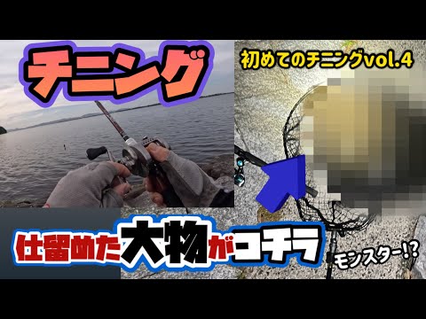 【チニング】マゴチしか釣れないwと諦めかけていた時にHITしたモンスターの正体【初めてのチニングVol.4】