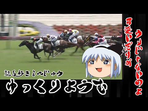 【競馬】ゆっくり妖夢が本気で馬券に挑戦しました