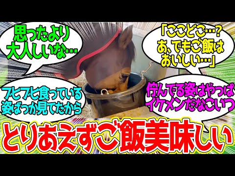 ドウデュース ← 社台SSに行っても変わらず食事中は一切顔をあげないおどう…に対するみんなの反応！【競馬 の反応集】