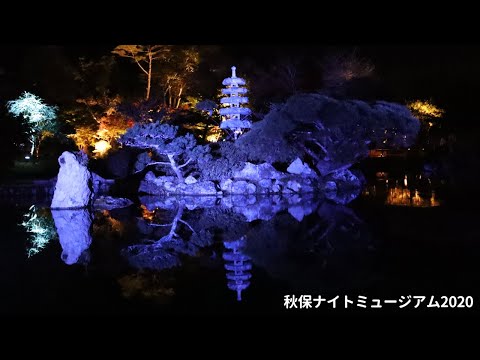 秋保ナイトミュージアム2020@天守閣自然公園【仙台vlog】