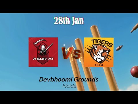 28th Jan UK Sunrisers Vs Asur XI T20 #cricketlover #cricketshorts #cricketvideo #cricketmatch