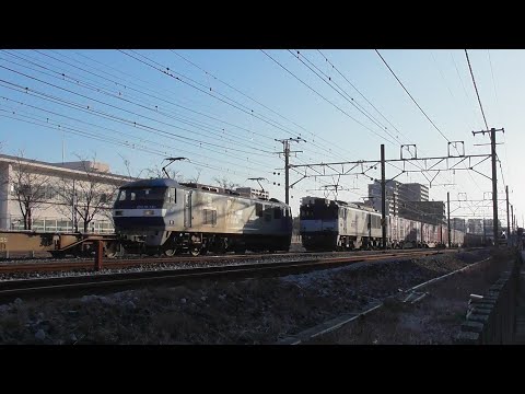 【JR貨物】EF64を撮りに行ったら賑やかな動画になりました。　2021.2撮影