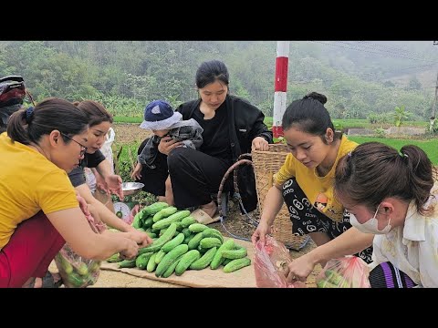 The life of a 17-year-old single mother: Harvesting Cucumbers - Preserving Ripe Bananas | Ly Tieu Nu