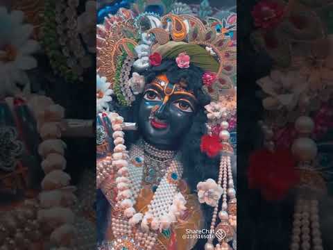 koi Jaye Jo vrindavan #love #subscribe #shorts #krishna #share #like #comment #radhakrishna