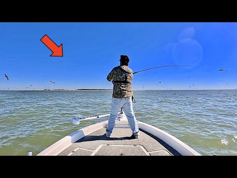 Fishing under HUNDREDS of BIRDS in the GULF of MEXICO for GIANTS! [Catch, Clean, Cook]