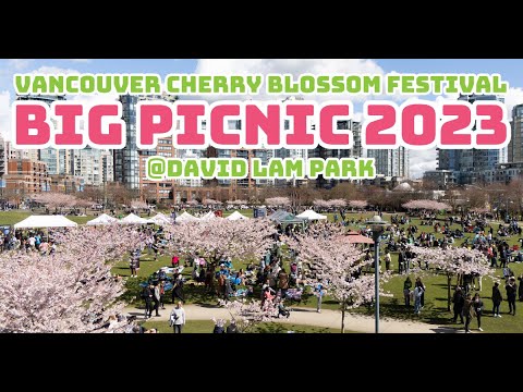 Vancouver Cherry Blossom Festival - Big Picnic 2023 バンクーバー桜祭り(ビックピクニック) at David Lam Park