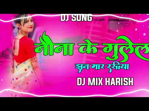 नैना के गुलेल झन मार रसीया || Dj Mix Harish Cg Song 2024