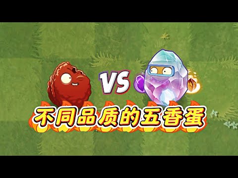 Pvz2: Different quality spiced eggs  how big is the gap?