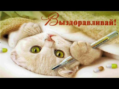 Поправляйся! Скорейшего выздоровления!