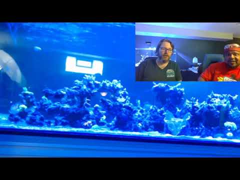 Talking with Greg from saltwater Aquarium.com