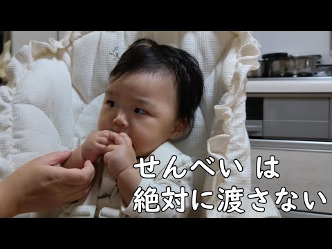 美味し過ぎる煎餅を絶対に手放さない0歳児【246Days】