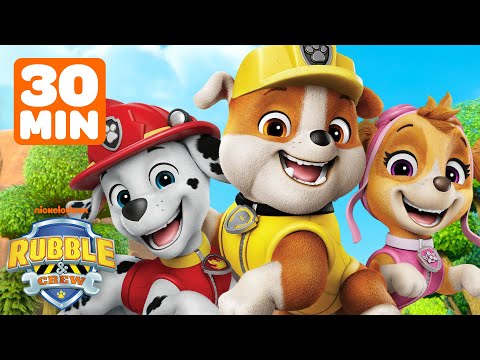 Rubble & Marshall Save the Forest & Make Rescues! w/ Skye | 30 Minute Compilation | Rubble & Crew