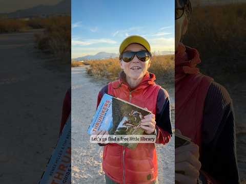 Hiding books in Free Little Libraries while we travel!