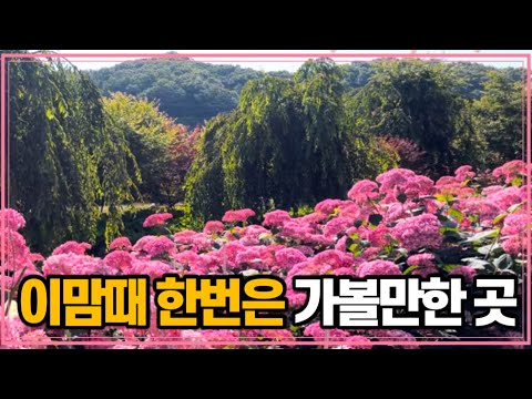 공주 가볼만한곳_꼭가봐야하는 여름여행지_당일치기 공주여행 코스_수국보러 공주갈때 갈만한 코스