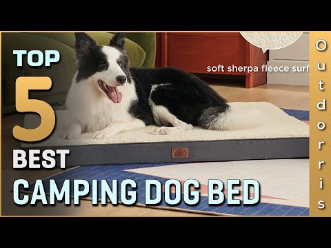 Top 5 Best Camping Dog Beds Review in 2023