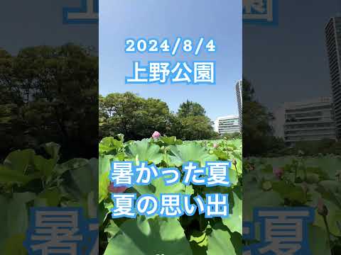 2024/8/4 夏の思い出