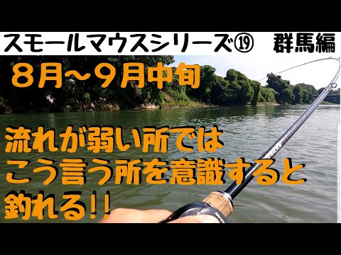 【川スモールマウスバス釣り　シリーズ⑲　群馬編】8月～9月中旬はこんな所があったら狙おう！新型コロナウィルス復帰後の初釣行