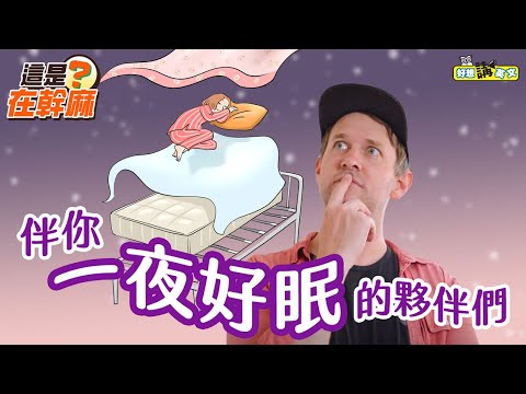 【這是在幹麻？】關於寢具 | About bedding | host. Gabe