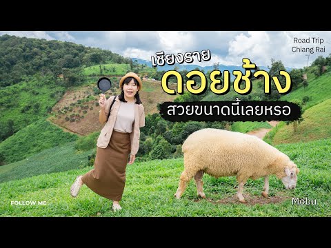 เที่ยวดอยช้าง เชียงราย 4/4 | ฟาร์มแกะดอยช้าง แช่น้ำชมทะเลหมอกที่ mobu | FOLLOW ME เที่ยวไทย