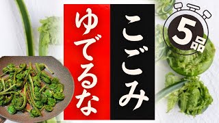 【こごみ】の美味しい食べ方！驚くほど美味しくなる！レシピ3選