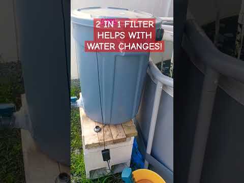 THIS FILTER BUILD HACK MAKES WATER CHANGES EASY! #HACK #EASY #WATERCHANGE #fishshorts #DIY #filter