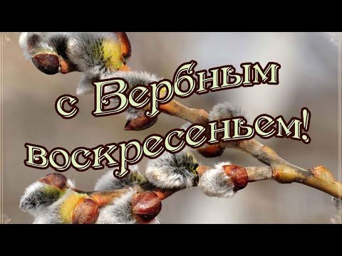 С ВЕРБНЫМ Воскресеньем! Красивая Музыкальная Открытка