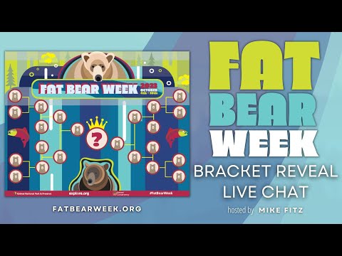 Fat Bear Week Bracket Reveal | Brooks Live Chat