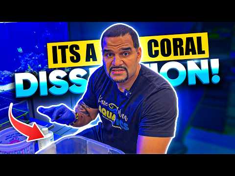 SHOCKING Coral Quarantine Outcomes After Just 30 Days - (Reef Update)