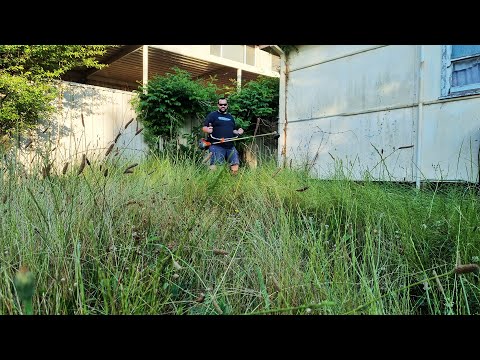 DISGUSTINGLY Overgrown Lawn FORCES Landlord To EVICT 90 Yr Old Lady Onto The STREET!