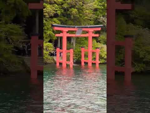 #floating #torii #gate #travel #japan #lake #shorts