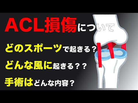 【膝の怪我】ACL損傷について