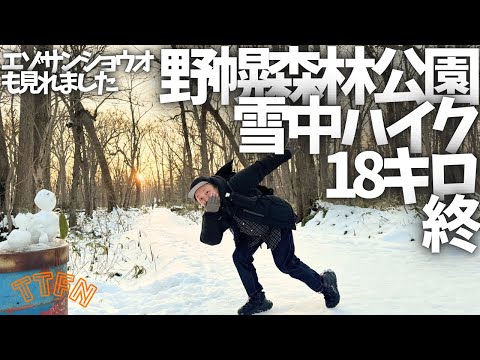 〝雪中ハイク〟楽しく１８キロをライトに歩く/北海道野幌森林公園vol.終