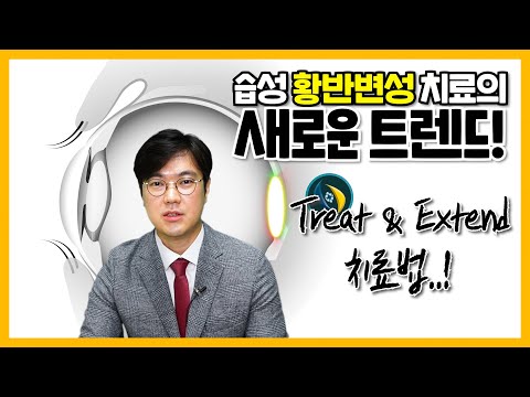 습성 황반변성 치료제, 아일리아의 T&E 요법이 갖는 의미는?