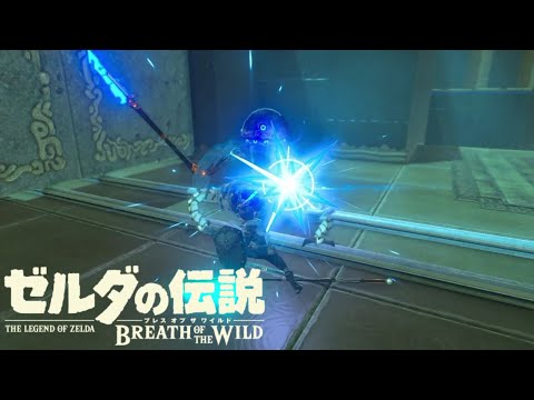 【ゼル伝探訪録】のんびり楽しむゼルダの世界【ゼルダの伝説 ブレスオブザワイルド】#19