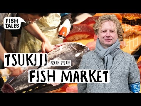 Visiting The Old TSUKIJI FISH MARKET Tour | Bart van Olphen