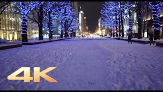 札幌駅からすすきのまで、ホワイトイルミネーションを歩きました【4K】